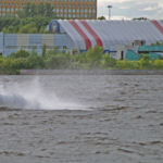 Berkut AKTIVE HT